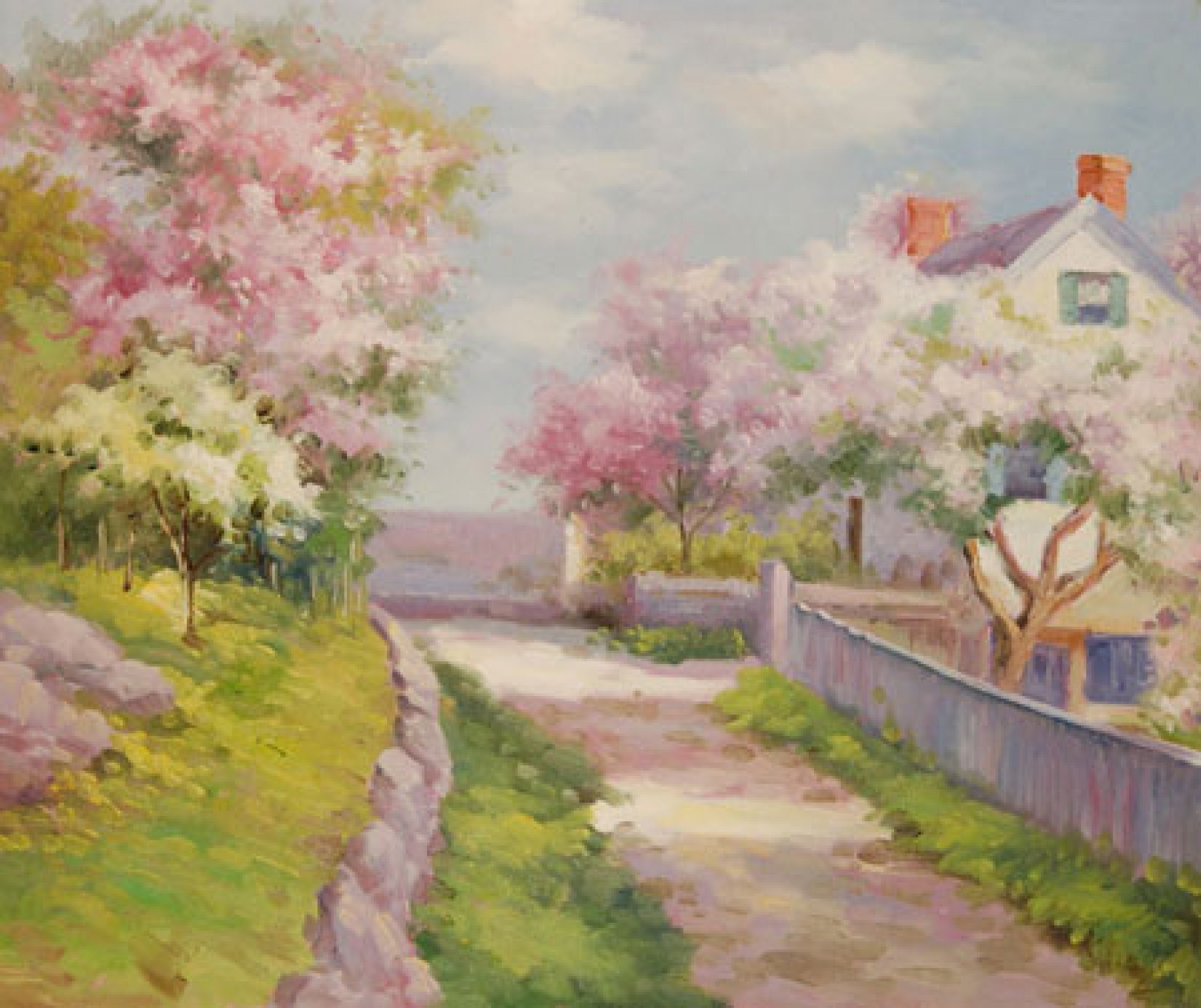 Glicini in fiore