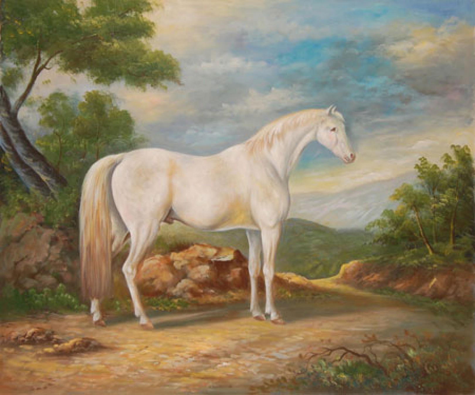 Cavallo bianco nel bosco