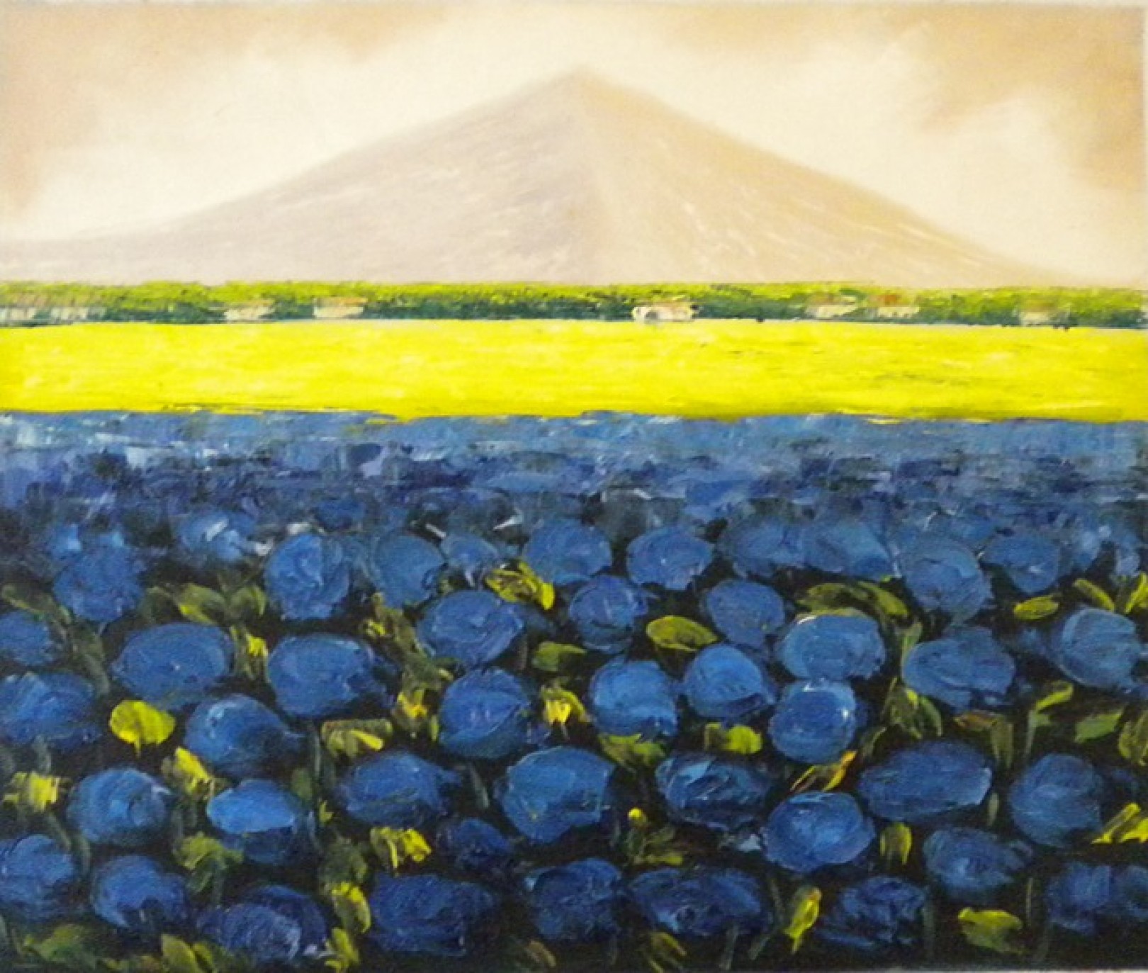 Paesaggio