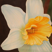 Narciso