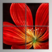 red flower (40x40cm)x4pcs