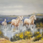 Horses