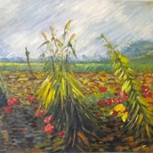 campo di grano e papaveri