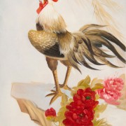 Gallo