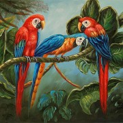 Tre pappagali