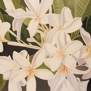Fiori bianchi