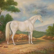 Cavallo bianco nel bosco