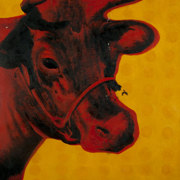 Bull Pop Art