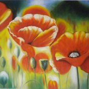 Poppies -  QUALITA' MASSIMA