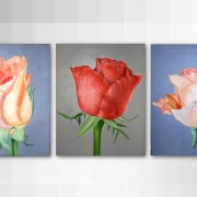 Composizione di rose con telaio in legno