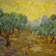 La piantagione di olivi