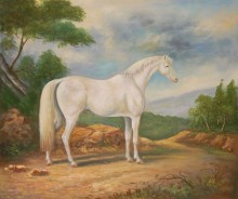 Cavallo bianco nel bosco