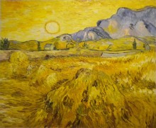Campo di grano al sole