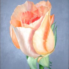 Rosa (con telaio)