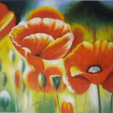 Poppies -  QUALITA' MASSIMA