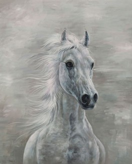 Cavallo