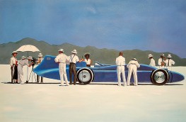 BLUEBIRD AT BONNEVILLE