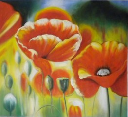 Poppies -  QUALITA' MASSIMA