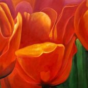 Tulipani rossi