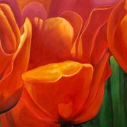 Tulipani rossi