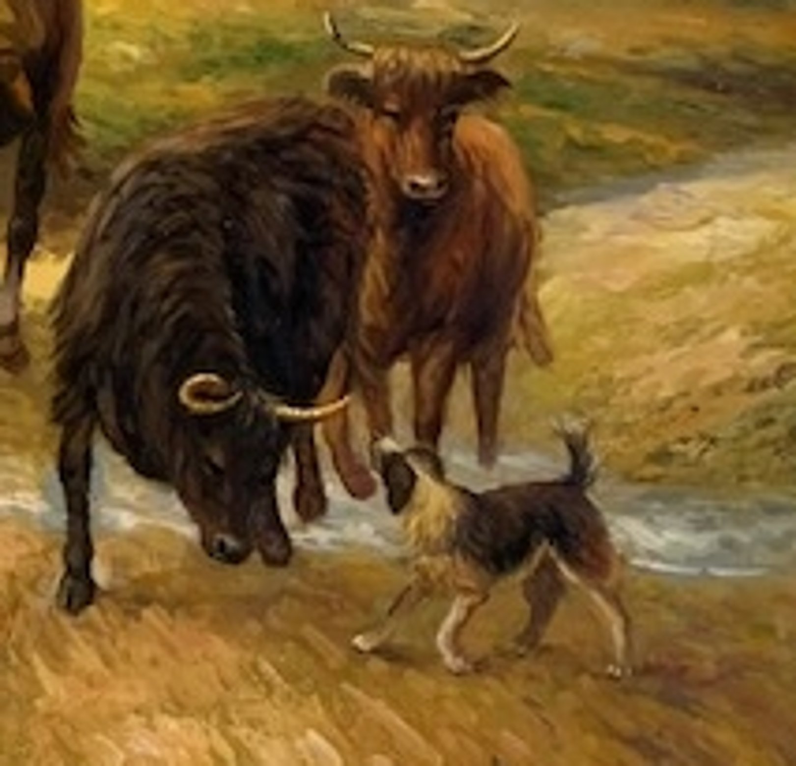 The handsome  drover