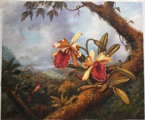 Orchidee e colibrì