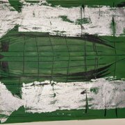 Skin Verde