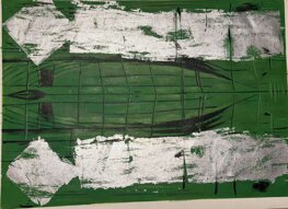 Skin Verde