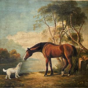 Animali